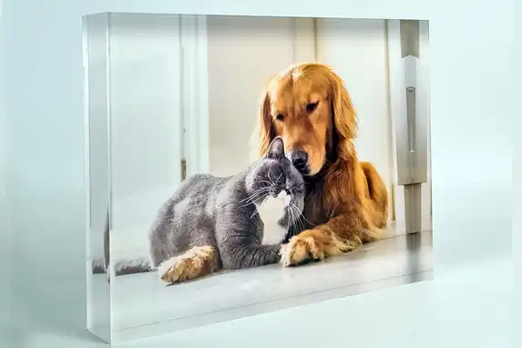 Duizenden huisdieren waaronder veel honden en katten werden inmiddels door ons fotolab in een arylblok vereeuwigd.