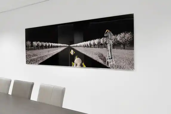 Ook beeldkunstenaars zoals hier Carina Dumais kiezen vaak voor de foto verlijmd achter plexiglas.