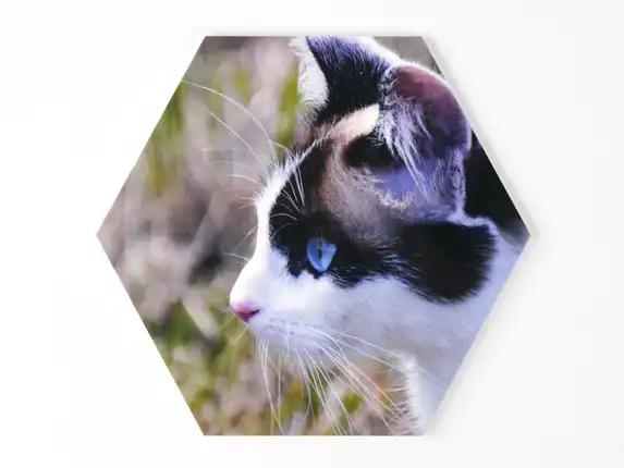 Foto geprint op een hexagon