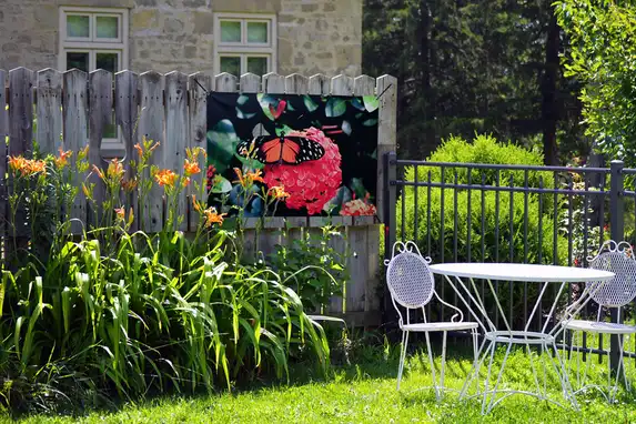 Permanent een vlindertuin bij huis!
